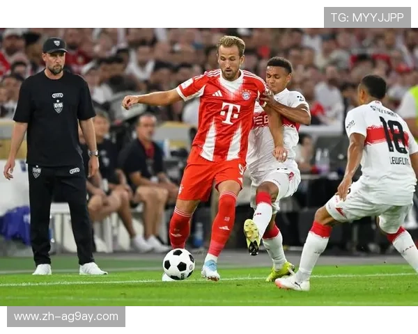 德甲主场最具威慑力的球队及其主场优势分析 德甲主场最具威慑力的球队及其主场优势分析