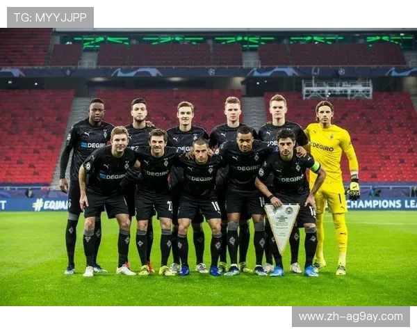 德甲球队分类及分布图表清晰解析