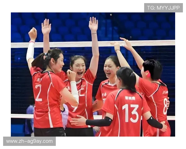 德甲联赛中的女排球队是否存在？探析体育结构差异