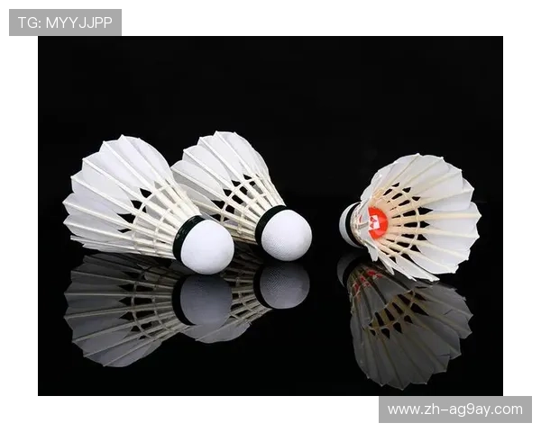 羽毛球入门型号