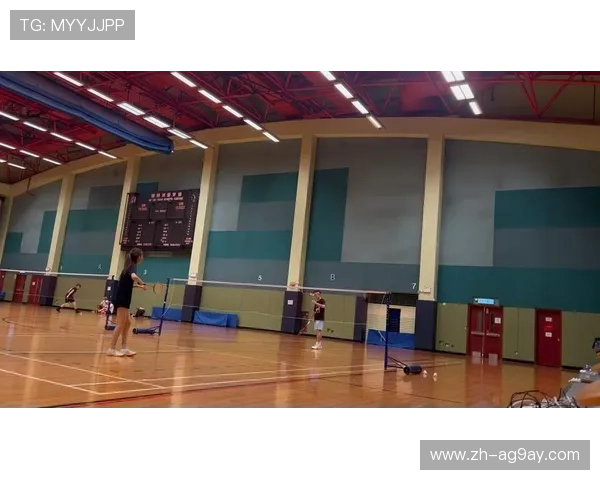 羽毛球教学提高视频